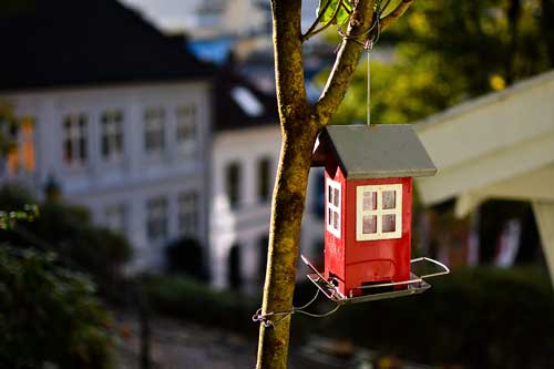 family-law-small